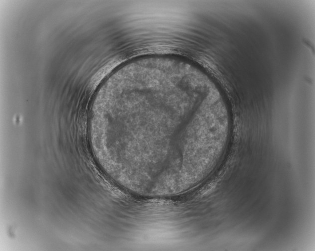 X0000102391081200808291418