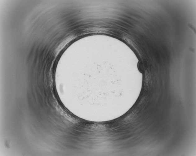 X0000102391082200808291418
