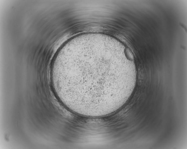 X0000102391083200808291418