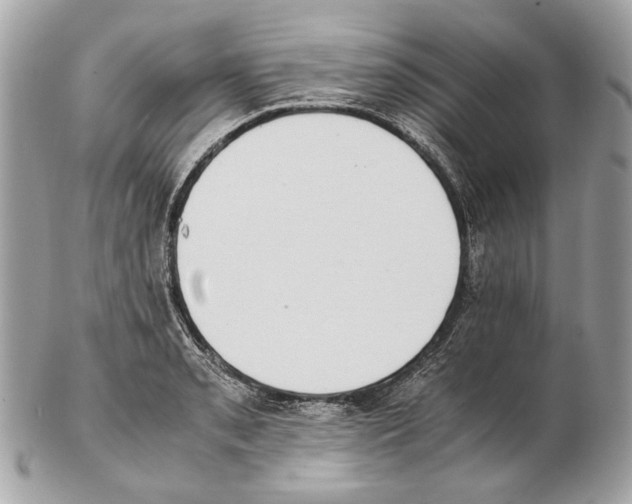 X0000102391085200808291418