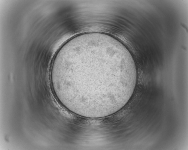 X0000102391086200808291418
