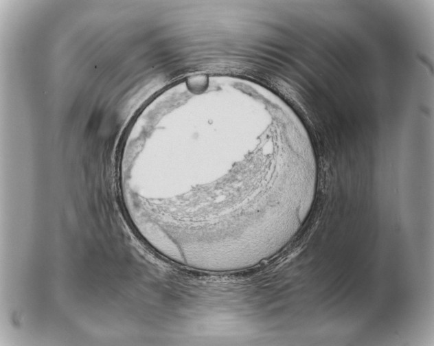 X0000102391087200808291418