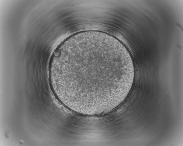 X0000102391088200808291418