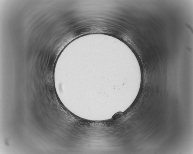 X0000102391089200808291418