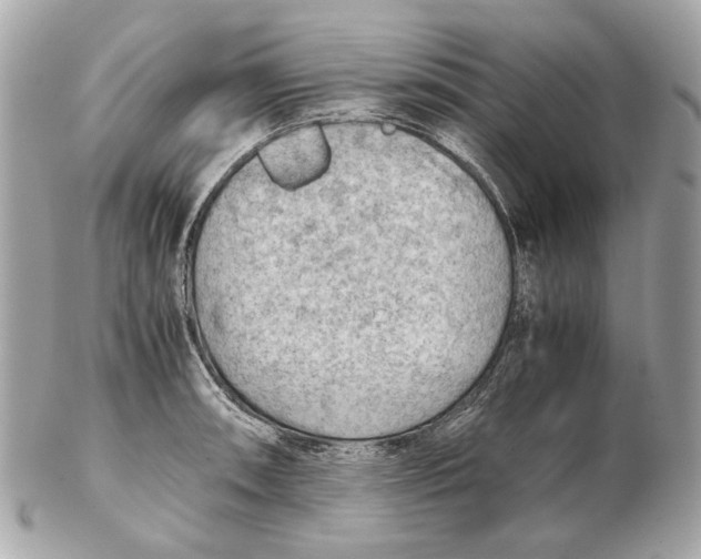 X0000102391090200808291418