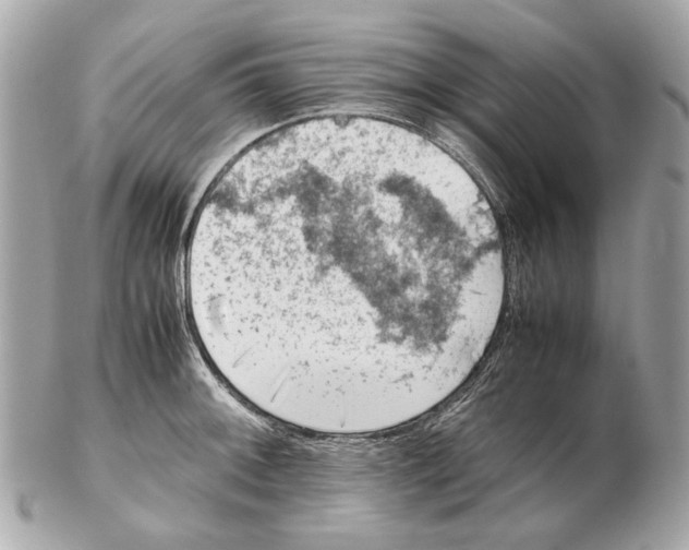 X0000102391092200808291418