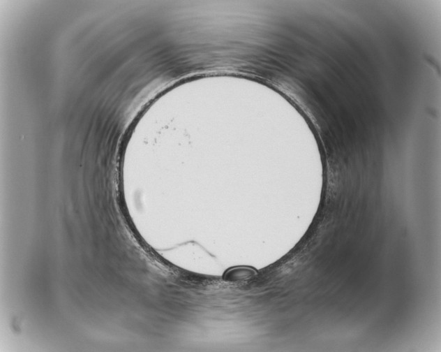 X0000102391093200808291418