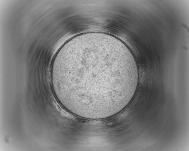 X0000102391094200808291418