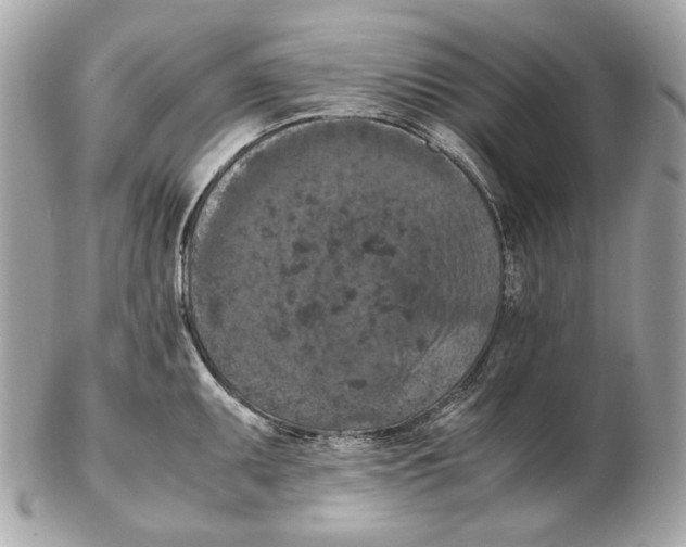 X0000102391095200808291418