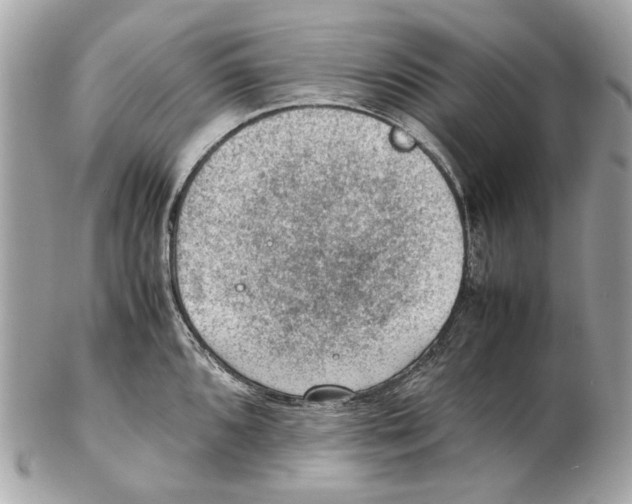 X0000102391096200808291418