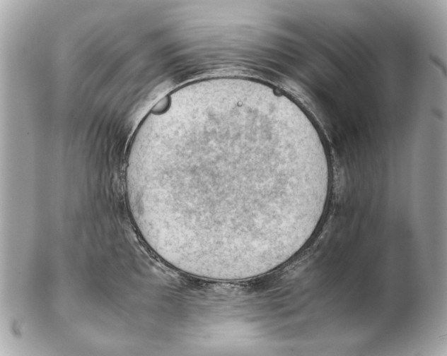 X0000102391097200808291418