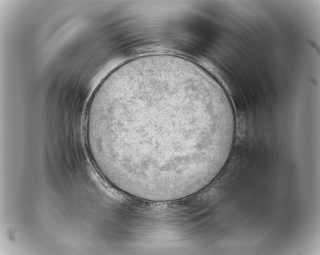 X0000102391098200808291418