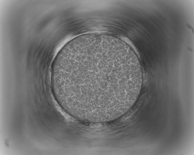 X0000102391099200808291418