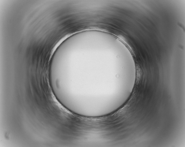 X0000102391100200808291418
