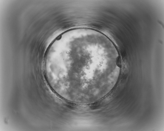 X0000102391101200808291418