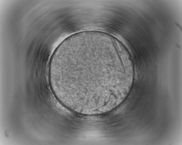 X0000102391102200808291418