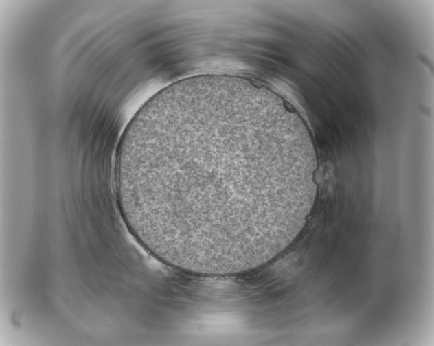 X0000102391103200808291418