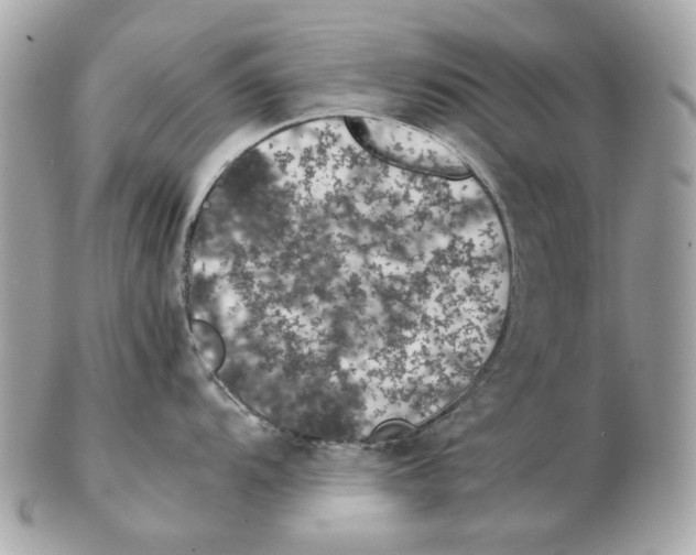 X0000102391104200808291418
