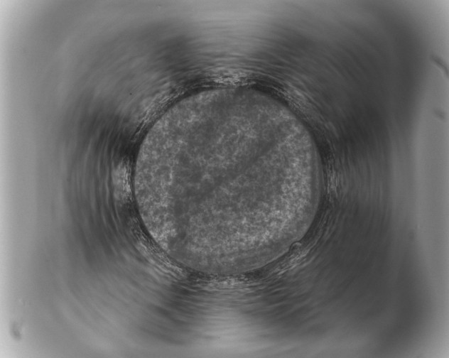 X0000102391106200808291417