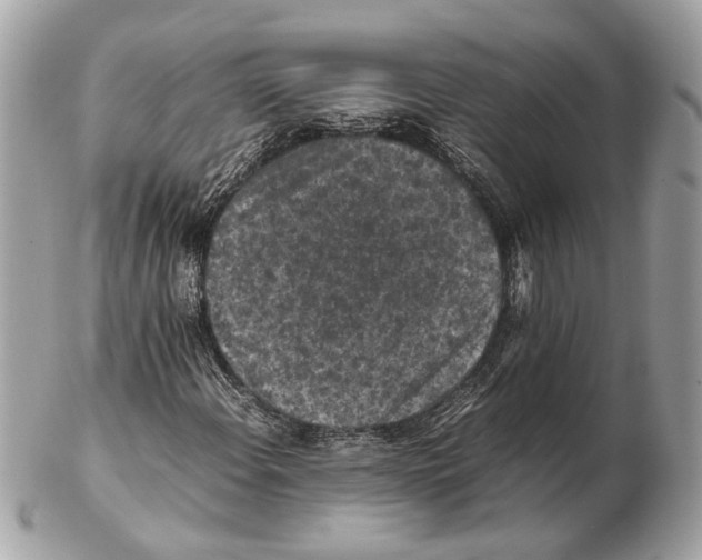 X0000102391108200808291417