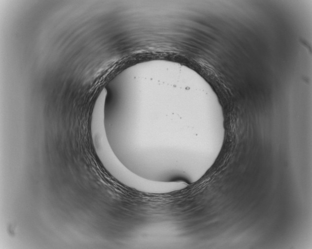 X0000102391110200808291417