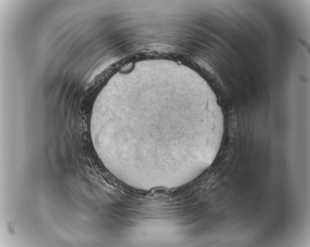 X0000102391112200808291417