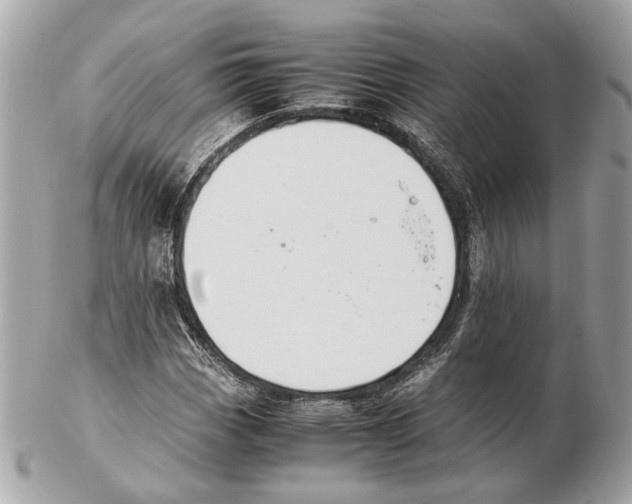 X0000102391113200808291417