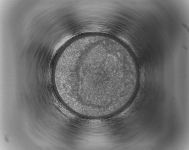 X0000102391114200808291417