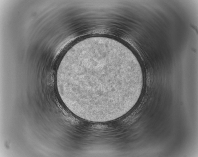 X0000102391115200808291417