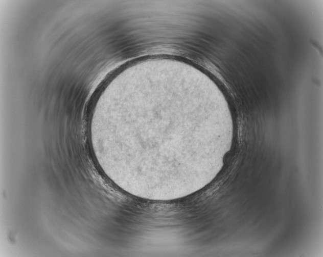 X0000102391116200808291417