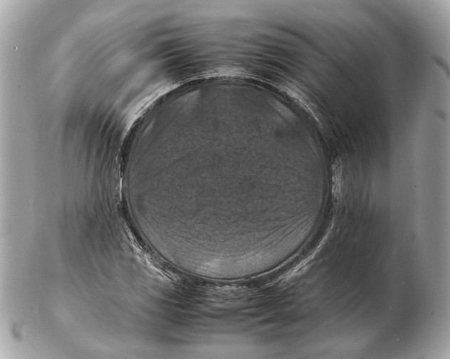 X0000102391117200808291417