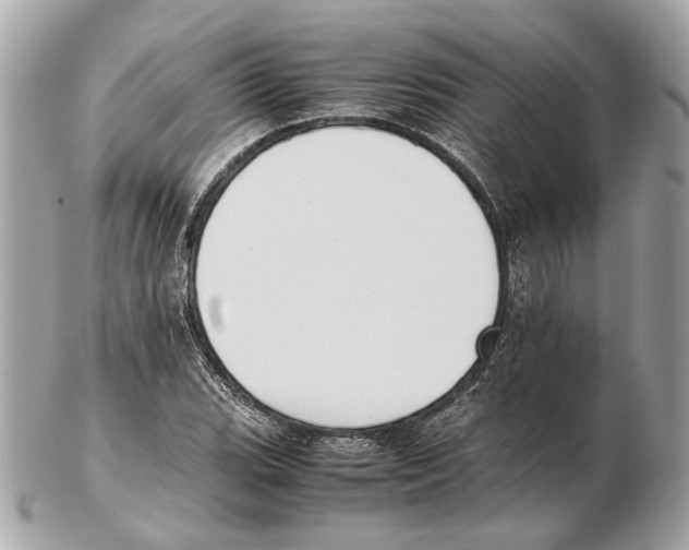 X0000102391119200808291417