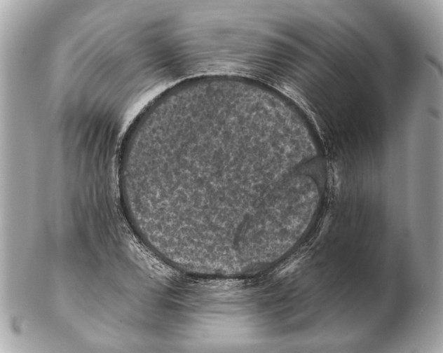 X0000102391120200808291417