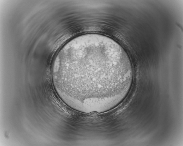 X0000102391121200808291417