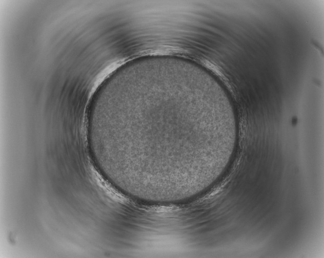 X0000102391122200808291417