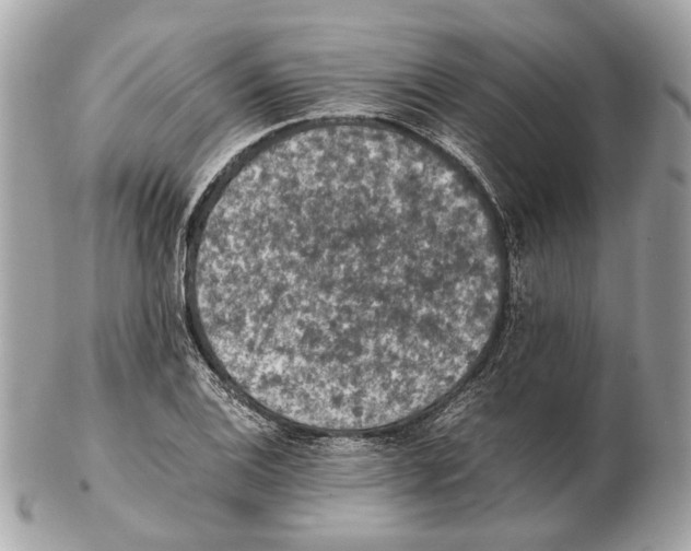 X0000102391124200808291417