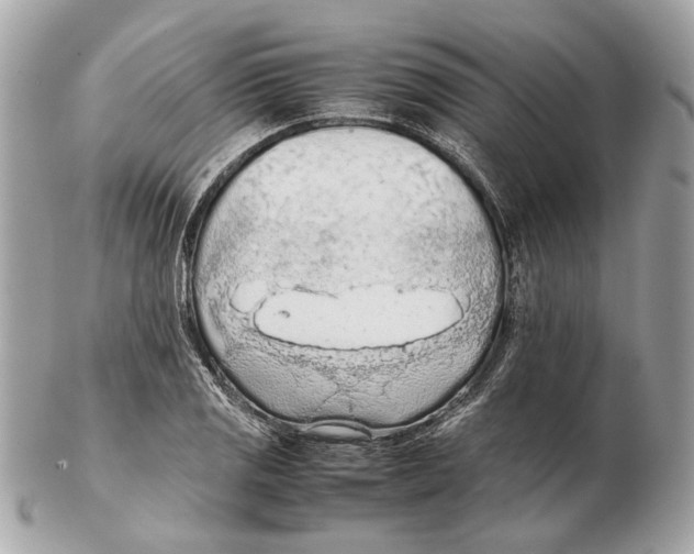 X0000102391125200808291417