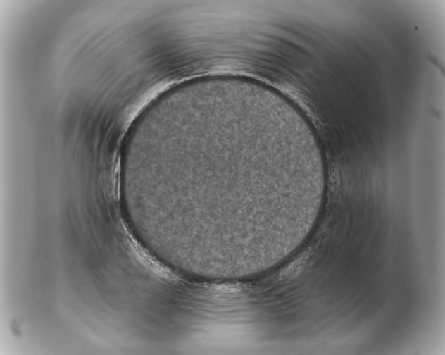 X0000102391126200808291417