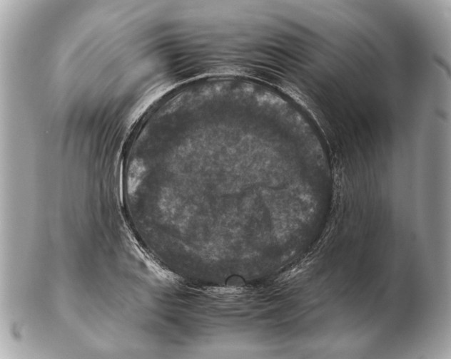 X0000102391127200808291417