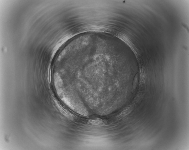 X0000102391128200808291417