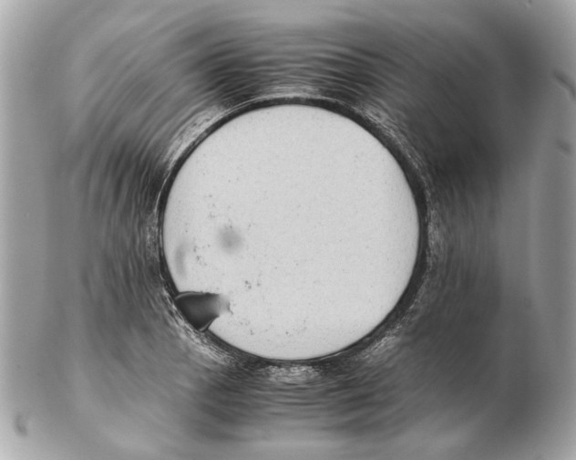 X0000102391129200808291417