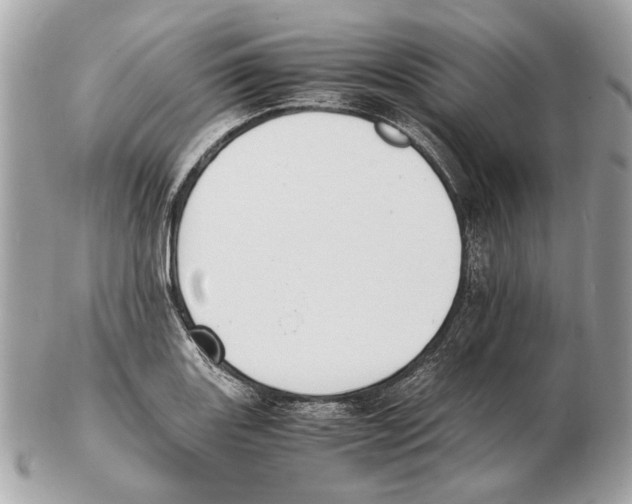 X0000102391131200808291417