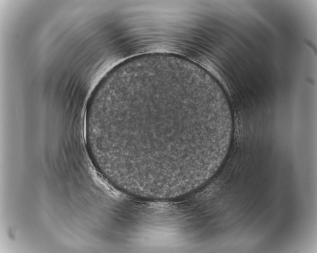 X0000102391132200808291417