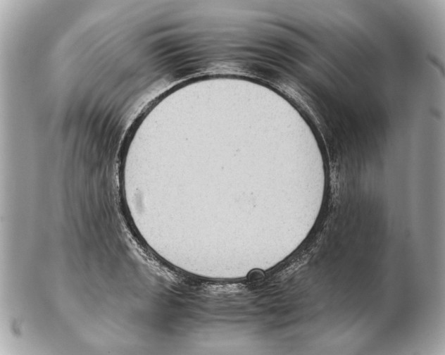 X0000102391133200808291417