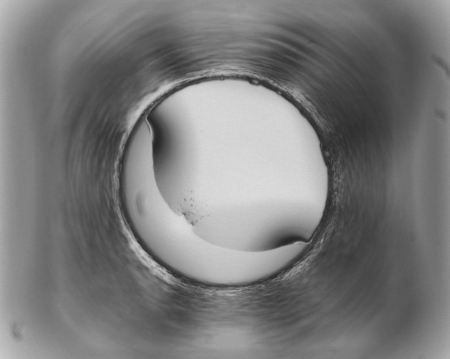 X0000102391134200808291417