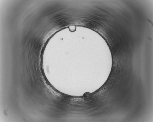 X0000102391135200808291417