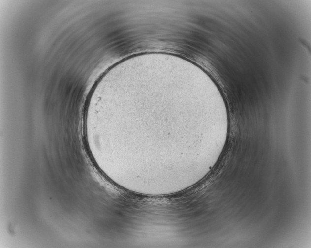 X0000102391136200808291417