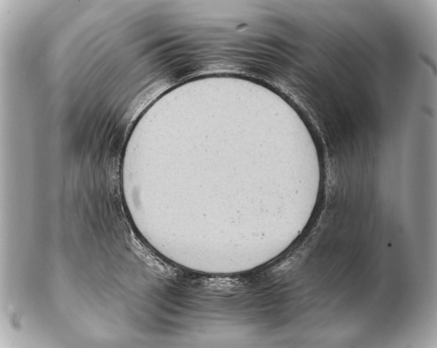 X0000102391137200808291417