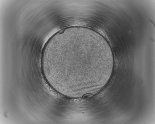 X0000102391138200808291417