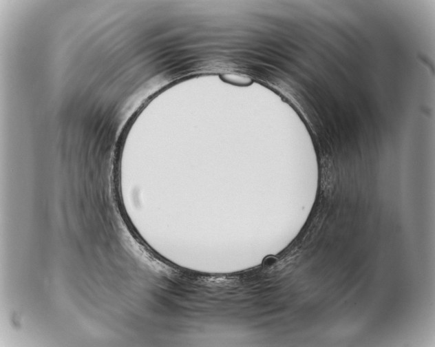 X0000102391139200808291417